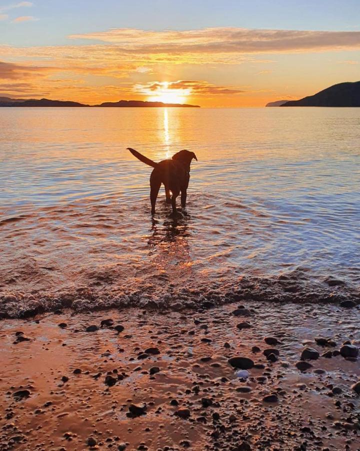 Craigneuk Near Oban, Stunning Home With Sea Views エクステリア 写真